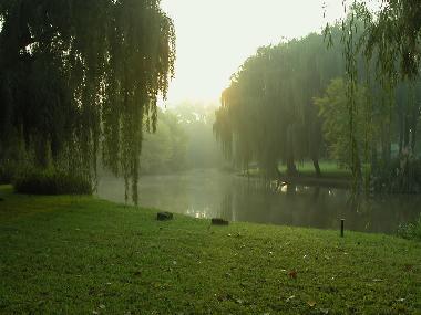 Maison de vacances /en/au Henley on Klip (Gauteng)ou appartement ou maison de vacances