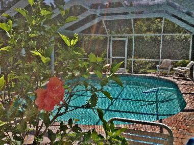 Maison de vacances /en/au Cape Coral (Florida)ou appartement ou maison de vacances