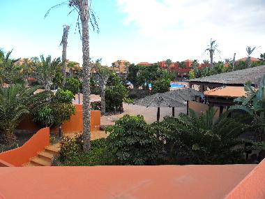 Appartement de vacances �/en/au Corralejo (Fuerteventura)ou appartement ou maison de vacances