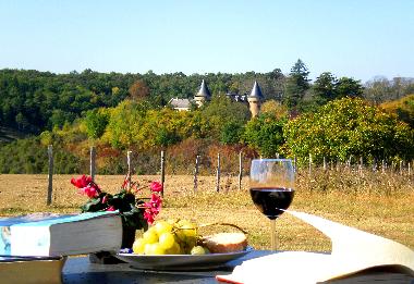 Maison de vacances /en/au Rouffignac St Cernin (Dordogne)ou appartement ou maison de vacances