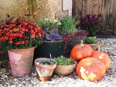 Maison de vacances /en/au Rouffignac St Cernin (Dordogne)ou appartement ou maison de vacances