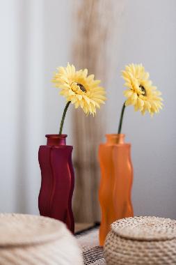 Appartement de vacances �/en/au Isafjordur (Isafjordur)ou appartement ou maison de vacances