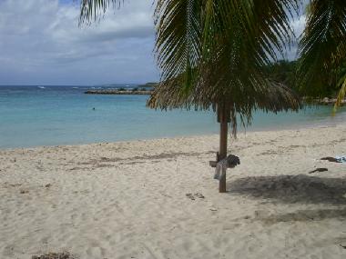 Appartement de vacances �/en/au SAINT RANCOIS (Guadeloupe)ou appartement ou maison de vacances