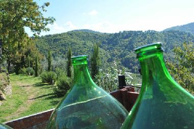 Appartement de vacances /en/au Montevarchi (Arezzo)ou appartement ou maison de vacances