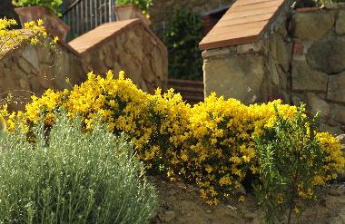 Appartement de vacances �/en/au Montevarchi (Arezzo)ou appartement ou maison de vacances