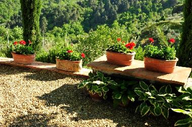 Appartement de vacances �/en/au Montevarchi (Arezzo)ou appartement ou maison de vacances