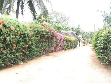 Maison de vacances �/en/au Diani (Coast)ou appartement ou maison de vacances