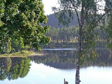 Appartement de vacances /en/au Hestra (Smaland)ou appartement ou maison de vacances