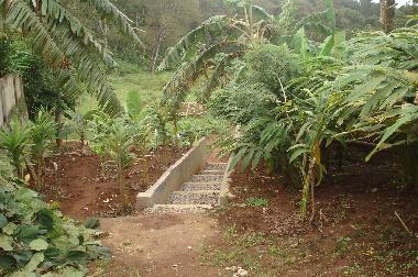 Maison de vacances �/en/au Vandanmedu (Kerala)ou appartement ou maison de vacances