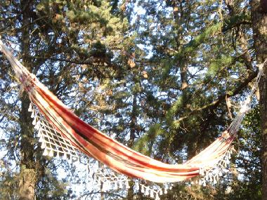 Appartement de vacances /en/au Tuscania (Viterbo)ou appartement ou maison de vacances