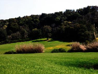 Appartement de vacances /en/au Tuscania (Viterbo)ou appartement ou maison de vacances