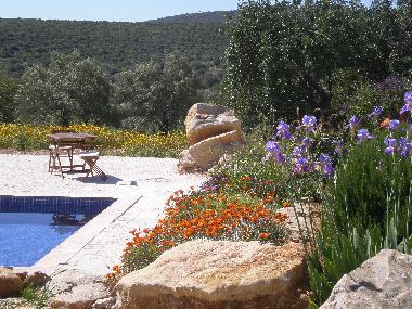 Villa /en/au Moncarapacho (Algarve)ou appartement ou maison de vacances