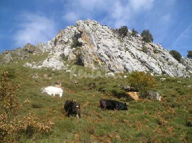 Maison de vacances �/en/au Potes-Li�bana (Cantabria)ou appartement ou maison de vacances