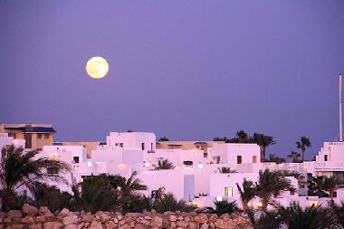 Appartement de vacances �/en/au Sharm El Sheikh (Shamal Sina