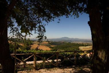 Appartement de vacances /en/au Lugnano in Teverina (Terni)ou appartement ou maison de vacances