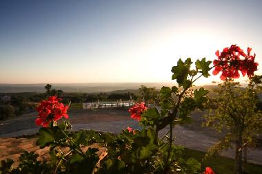 Appartement de vacances /en/au Lugnano in Teverina (Terni)ou appartement ou maison de vacances