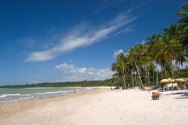 Maison de vacances �/en/au Trancoso (Bahia)ou appartement ou maison de vacances
