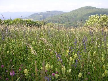 Maison de vacances /en/au Sonnac Sur L