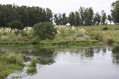 Chalet �/en/au Piedras de Afilar (Canelones)ou appartement ou maison de vacances