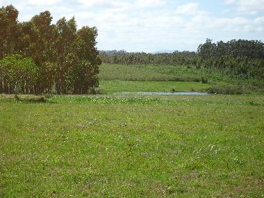 Chalet �/en/au Piedras de Afilar (Canelones)ou appartement ou maison de vacances