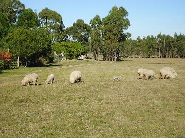 Chalet �/en/au Piedras de Afilar (Canelones)ou appartement ou maison de vacances