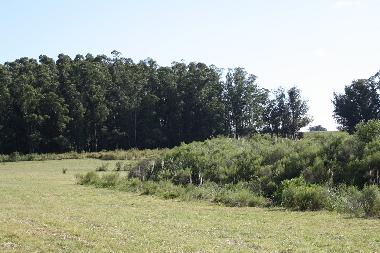 Chalet �/en/au Piedras de Afilar (Canelones)ou appartement ou maison de vacances