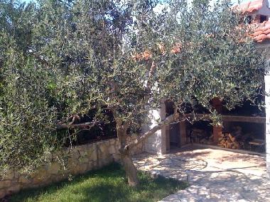 Villa /en/au Trogir-Slatine (Splitsko-Dalmatinska)ou appartement ou maison de vacances