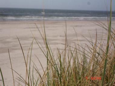 Maison de vacances �/en/au oksb�l (Sonderjylland)ou appartement ou maison de vacances