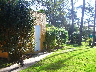 Maison de vacances �/en/au Punta del Este (Maldonado)ou appartement ou maison de vacances