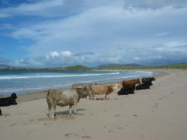 Maison de vacances �/en/au ANNAGRY (Donegal)ou appartement ou maison de vacances