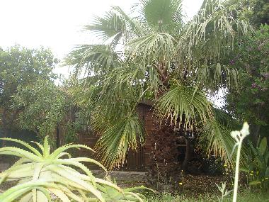 Villa �/en/au Travo (Haute-Corse)ou appartement ou maison de vacances