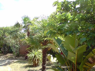 Villa �/en/au Travo (Haute-Corse)ou appartement ou maison de vacances