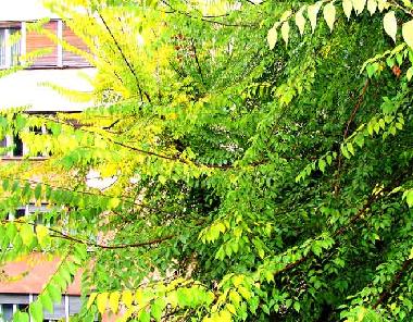 Appartement de vacances /en/au Zagreb (Zagrebacka)ou appartement ou maison de vacances