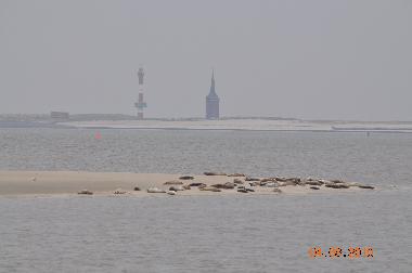 Maison de vacances /en/au Wangerooge (Ostfriesische Inseln)ou appartement ou maison de vacances
