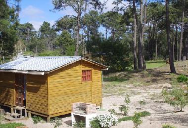 Chalet /en/au La Paloma (Rocha)ou appartement ou maison de vacances