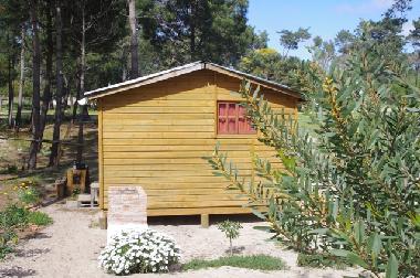 Chalet /en/au La Paloma (Rocha)ou appartement ou maison de vacances