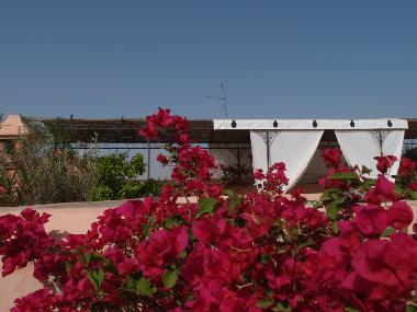 Maison de vacances �/en/au Marrakech (Marrakech)ou appartement ou maison de vacances