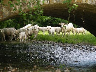 Appartement de vacances /en/au matour (Sane-et-Loire)ou appartement ou maison de vacances