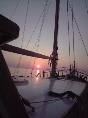 Bateau /en/au barcars (Pyrnes-Orientales)ou appartement ou maison de vacances