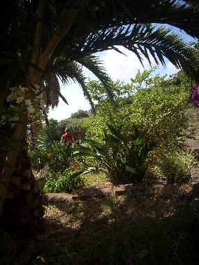 Appartement de vacances �/en/au Faja do Ovelha (Madeira)ou appartement ou maison de vacances