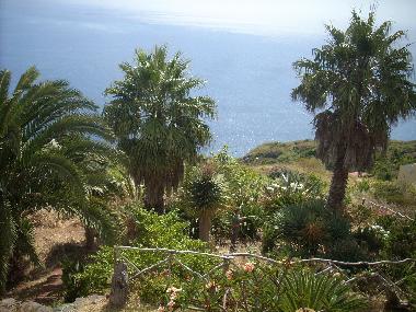 Appartement de vacances �/en/au Faja do Ovelha (Madeira)ou appartement ou maison de vacances