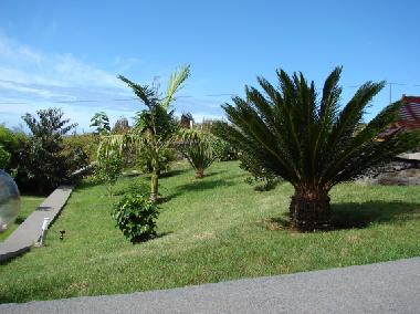 Maison de vacances /en/au Prazeres (Madeira)ou appartement ou maison de vacances