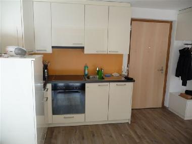 Appartement de vacances �/en/au Wiler (L�tschental-L�tschberg)ou appartement ou maison de vacances
