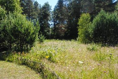 Maison de vacances �/en/au Sasino (Pomorskie)ou appartement ou maison de vacances