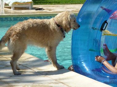 Maison de vacances �/en/au BRIGNOLES (Var)ou appartement ou maison de vacances