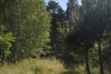 Maison de vacances �/en/au Sasino (Pomorskie)ou appartement ou maison de vacances