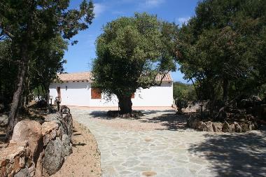 Maison de vacances /en/au Baja Sardinia  (Sassari)ou appartement ou maison de vacances