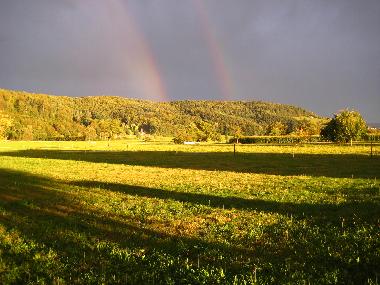 Maison de vacances �/en/au Biberach/Baden (Schwarzwald)ou appartement ou maison de vacances
