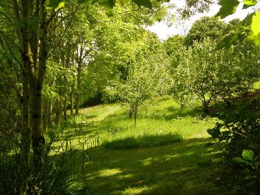 Maison de vacances �/en/au Ilfracombe (South West)ou appartement ou maison de vacances