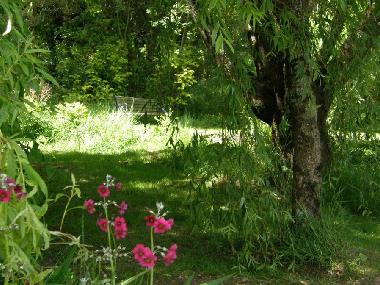 Maison de vacances �/en/au Ilfracombe (South West)ou appartement ou maison de vacances